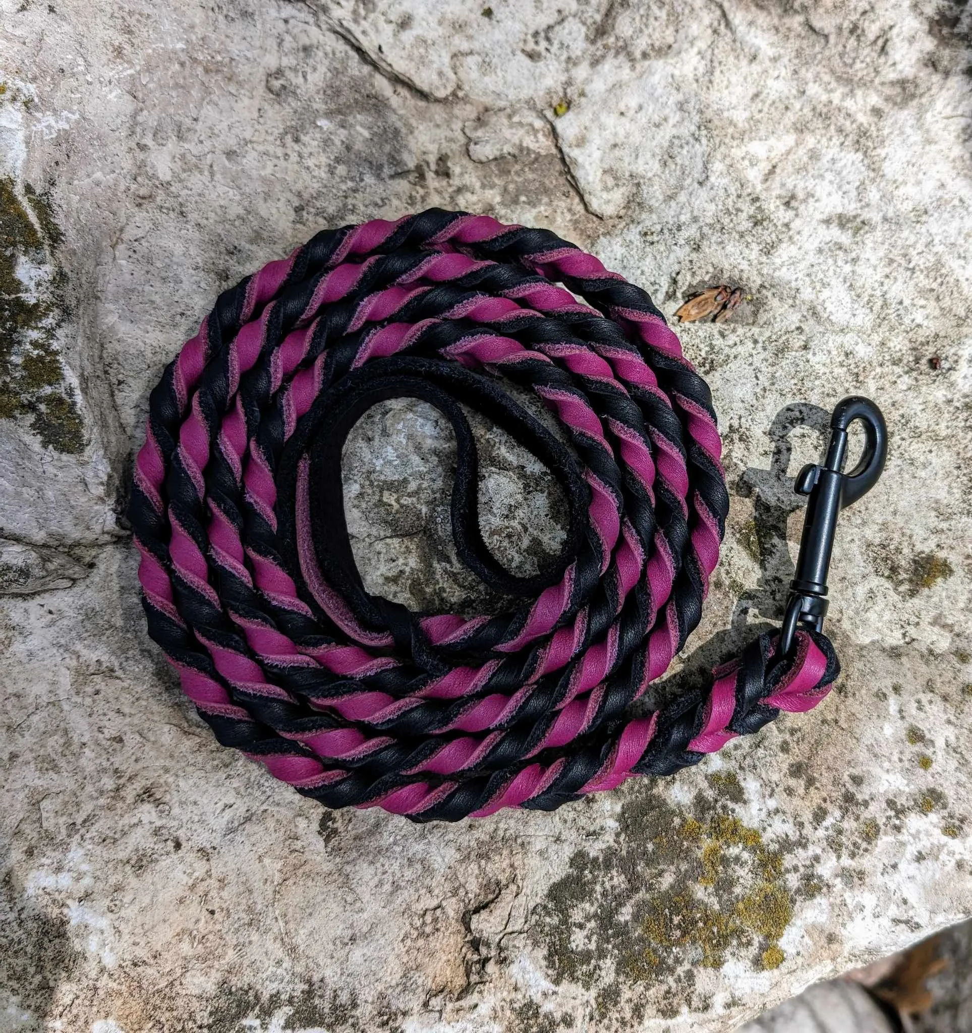 Black Label Braided Soft Leather Leash